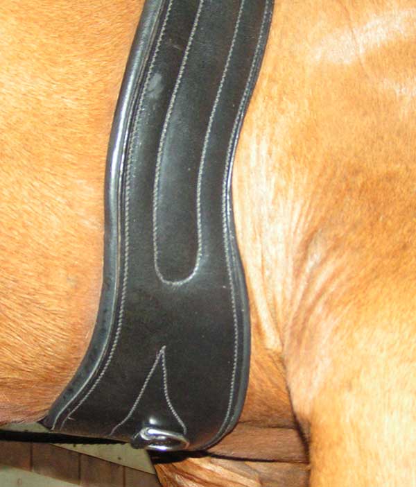 Curved Ergonomic Leather English Girth