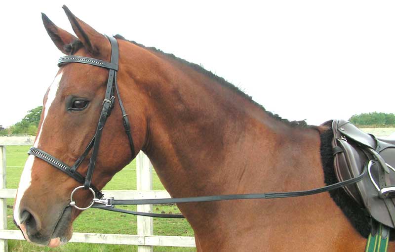 Show Rubber Grip Clip Reins (Half rubber grip reins)