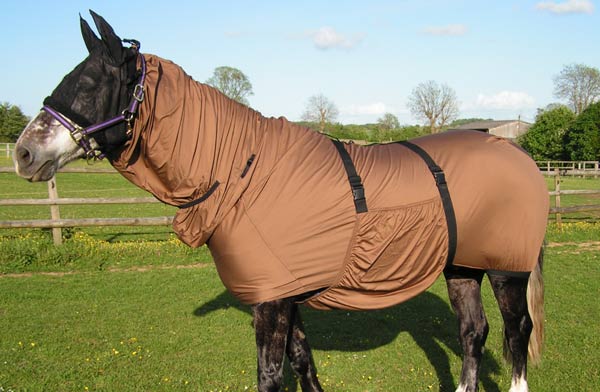 The Ultimate Sweet Itch Rug